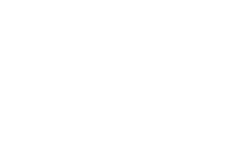 The Band The Band