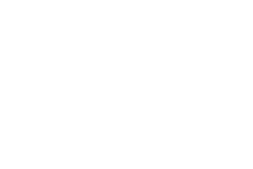 Salvaje