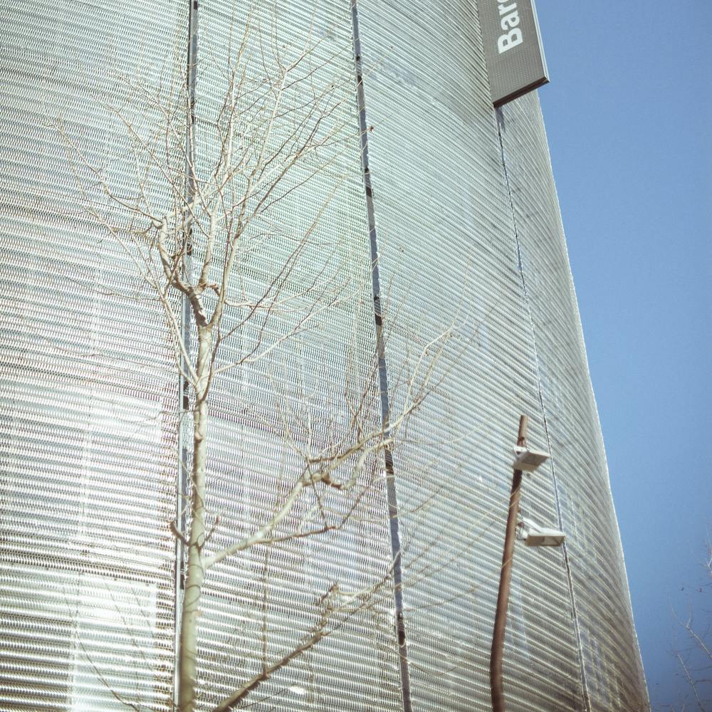 Life Love Lust Life Love Lust