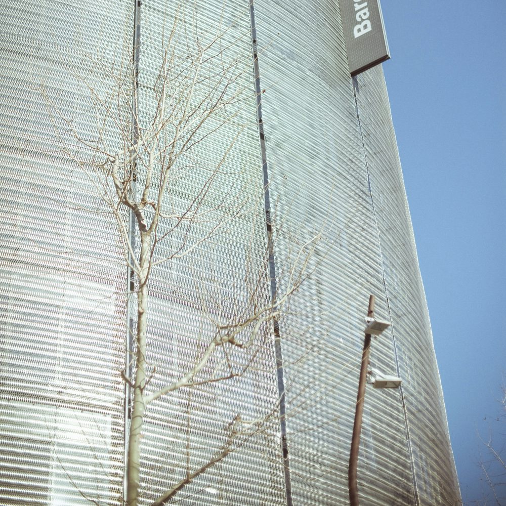 Life Love Lust porn photos Life Love Lust porn photos