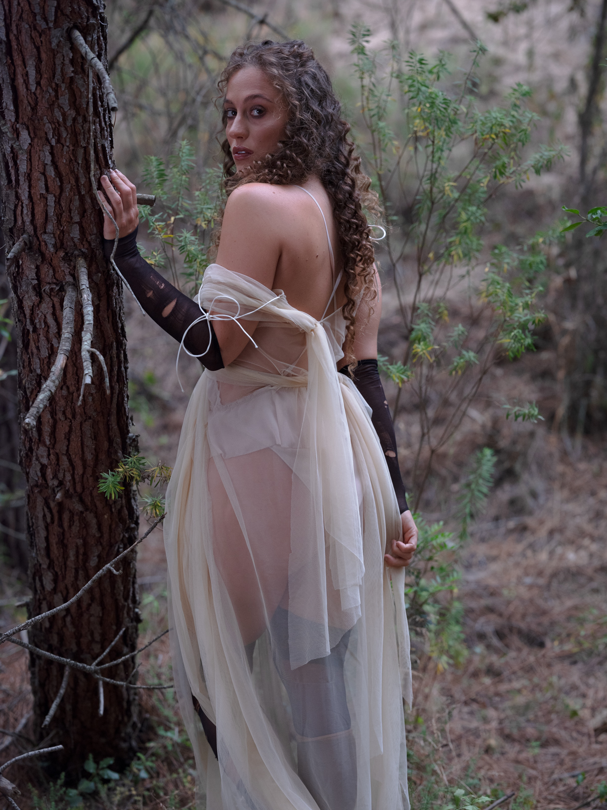 Sofia Laone - Porn Films & XXX Movies