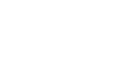 The Riding Lesson The Riding Lesson