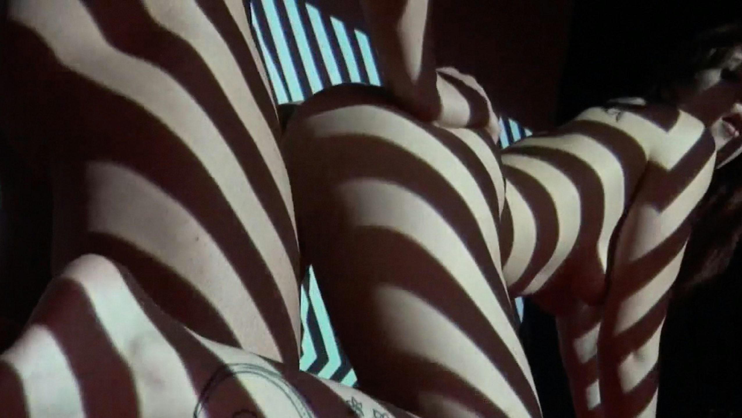 The Black Stripes The Black Stripes