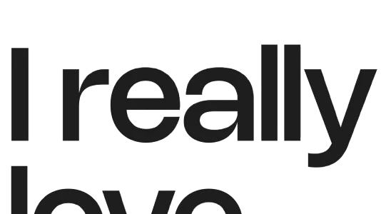 I Really Love I Really Love