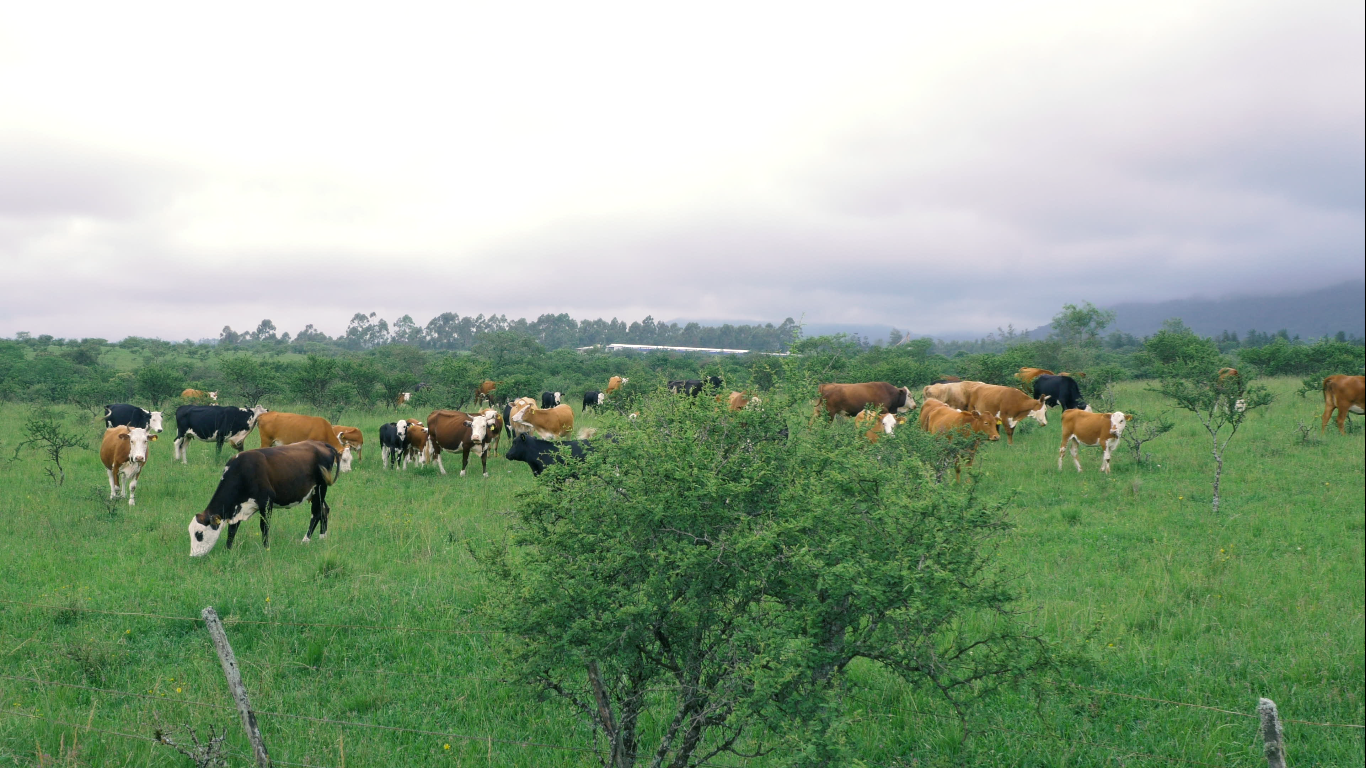 Media Hora porn photos