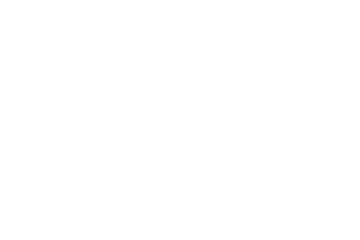 The Black Stripes