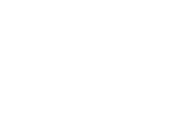 The Black Stripes The Black Stripes