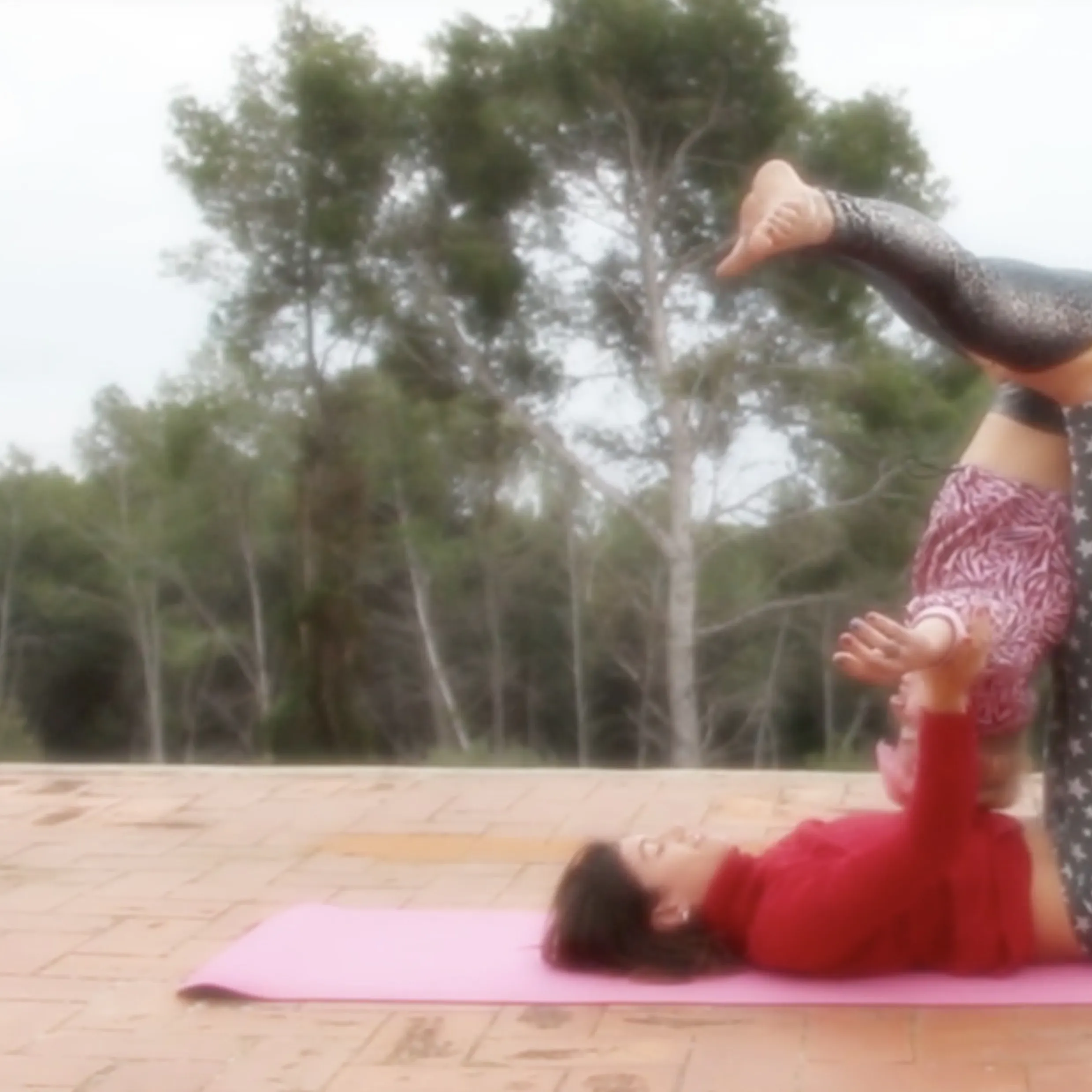 Acrolesbians Acrolesbians