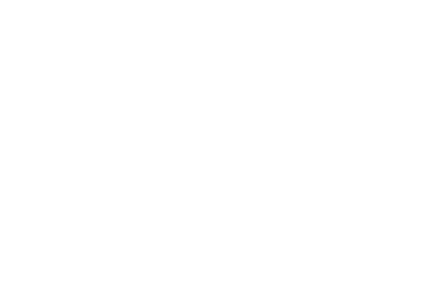 The Stripper