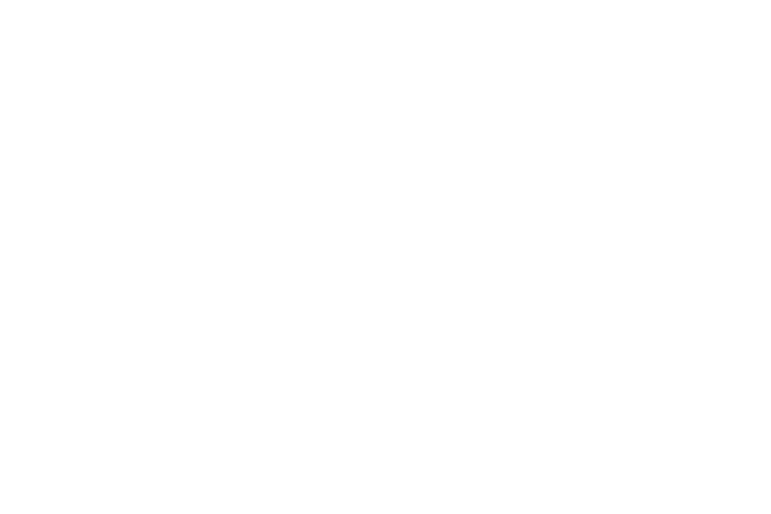 The Stripper The Stripper