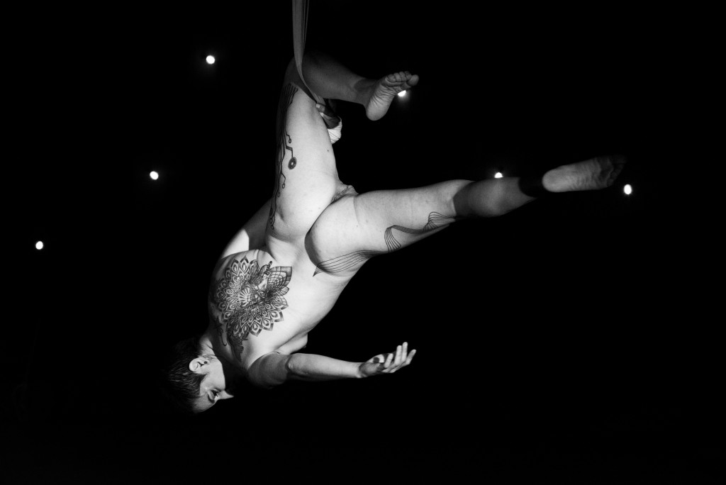 Circus Aerius Perversus