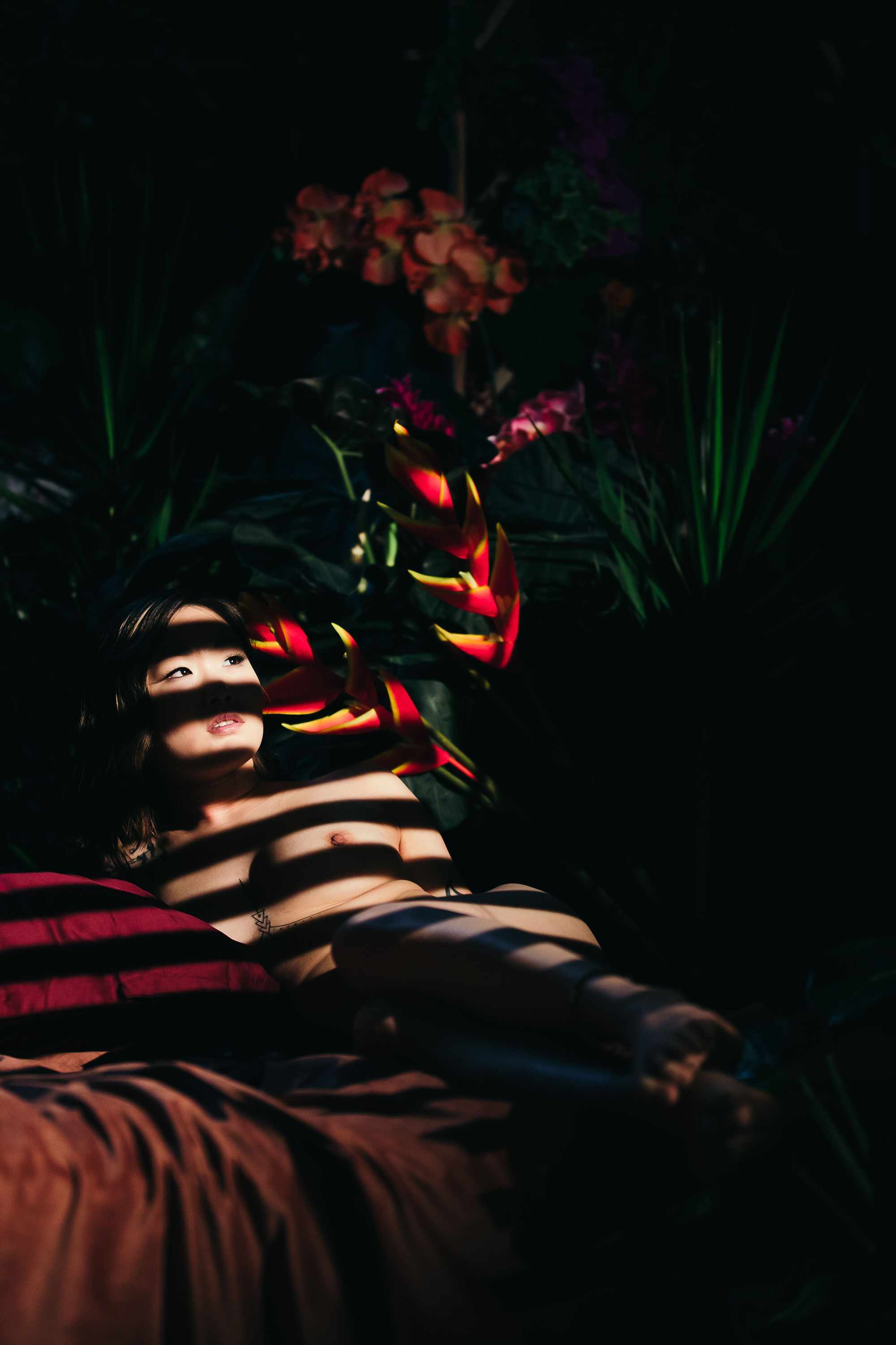 Amanda Westcott photos