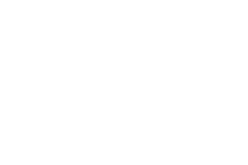 The Sleepover