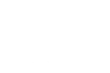 The Sleepover The Sleepover
