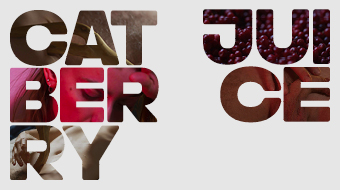 CATBERRYJUICE - undefined - by undefined | XConfessions Porn for Women