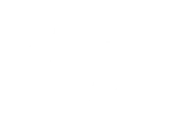 The Cable Guy The Cable Guy