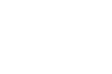 The Saree Shop The Saree Shop