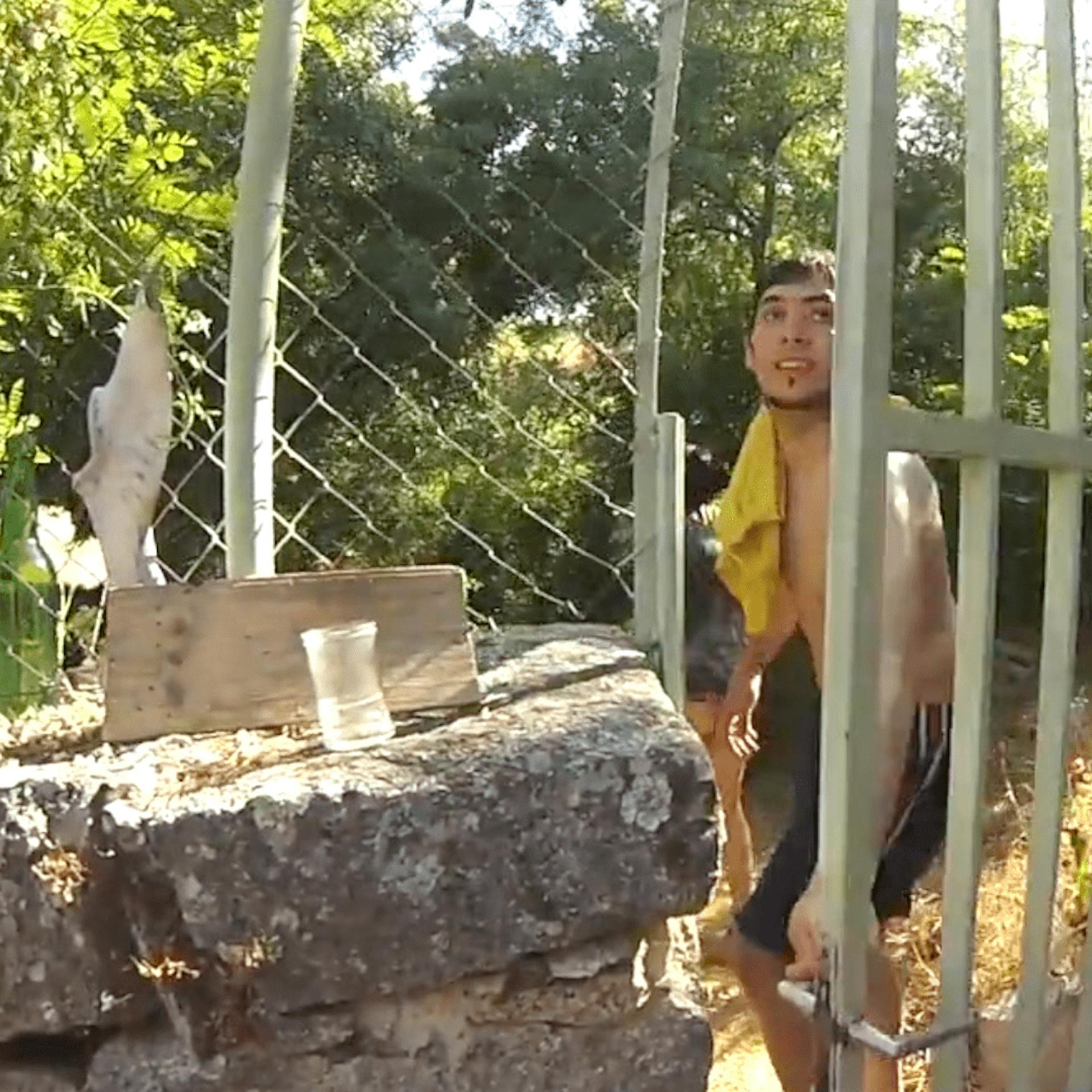 Pool Intruders Pool Intruders