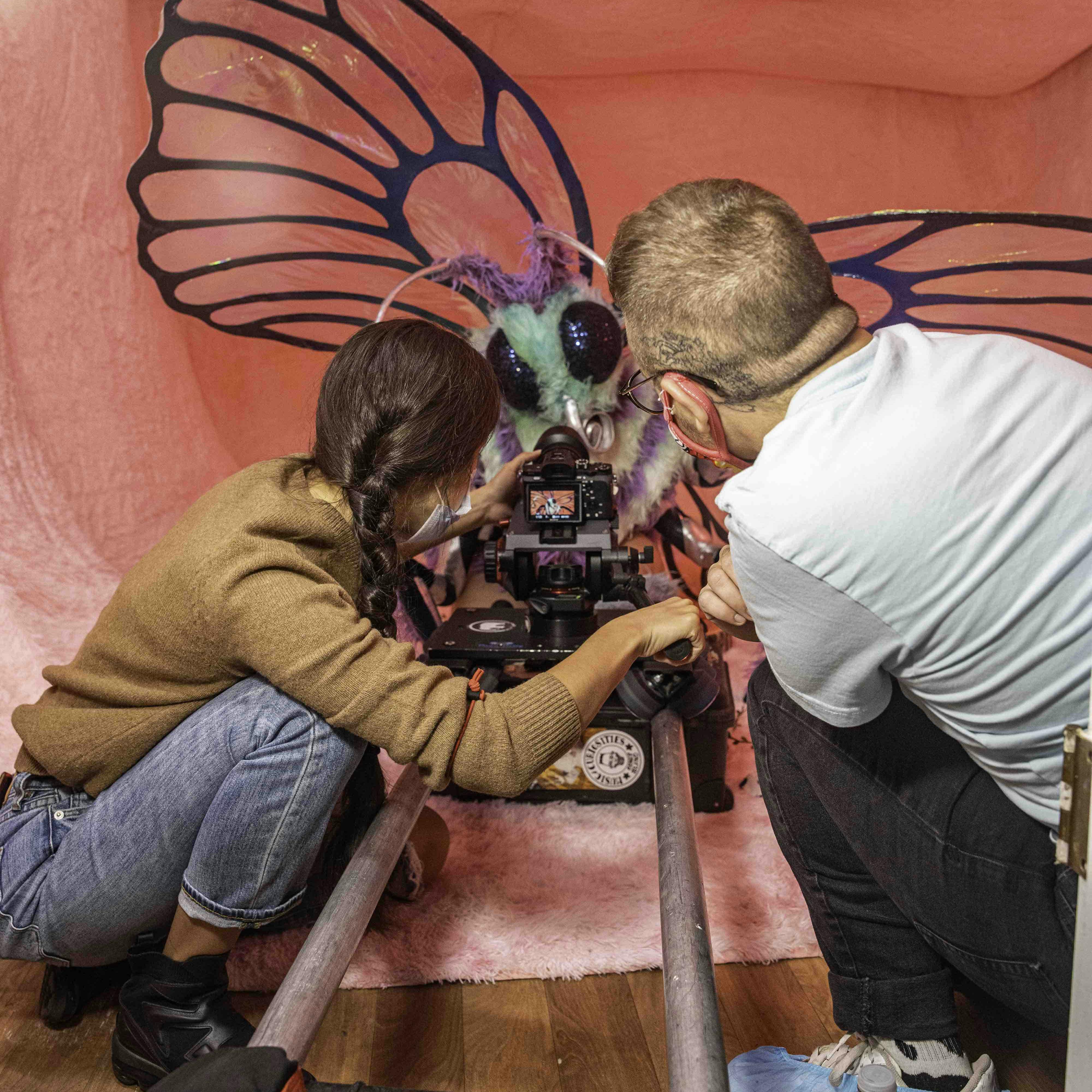 Like a Butterfly Like a Butterfly