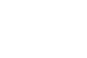 The Affairs of Lidia