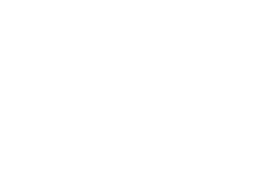 The Narcissist