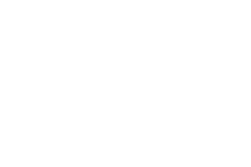 The Narcissist The Narcissist