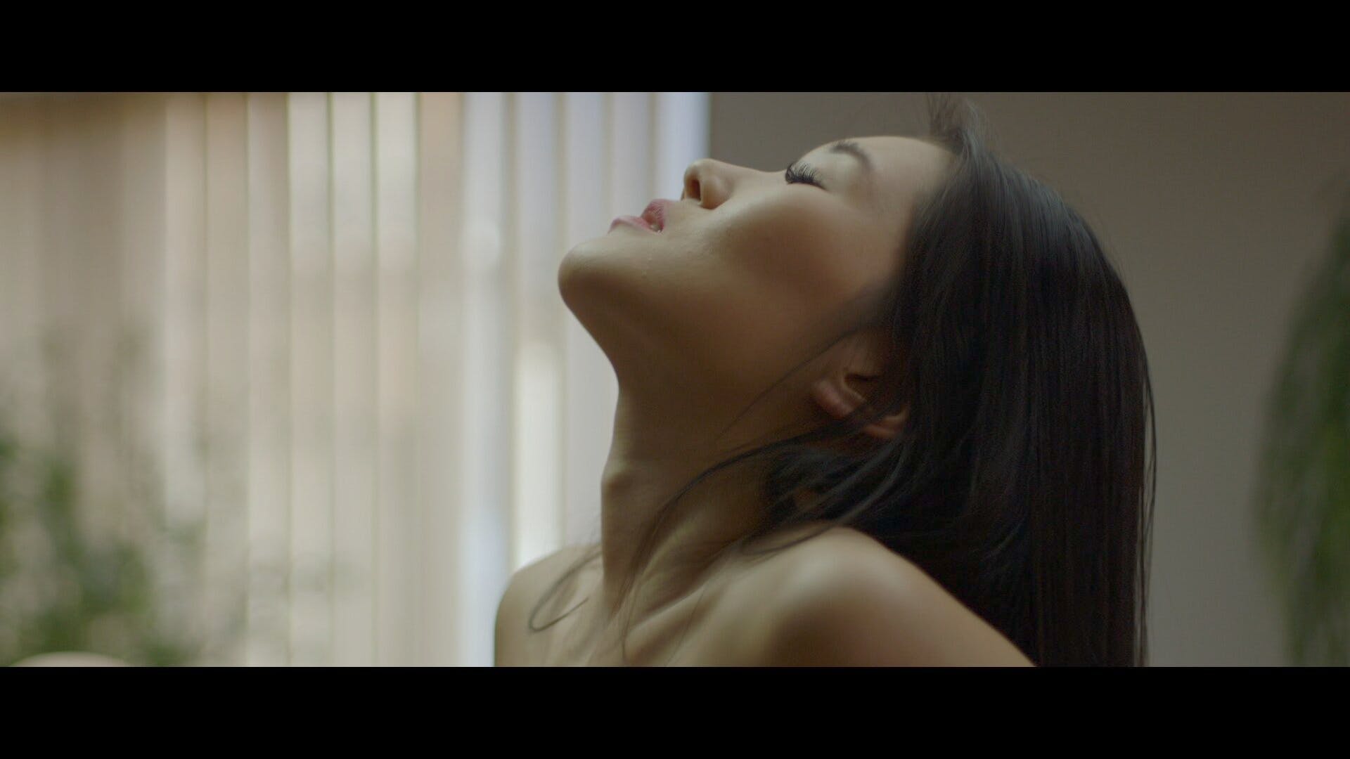 Everyday Encounters - All Volumes