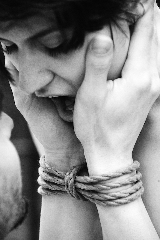 The BDSM Compilation Vol. 2