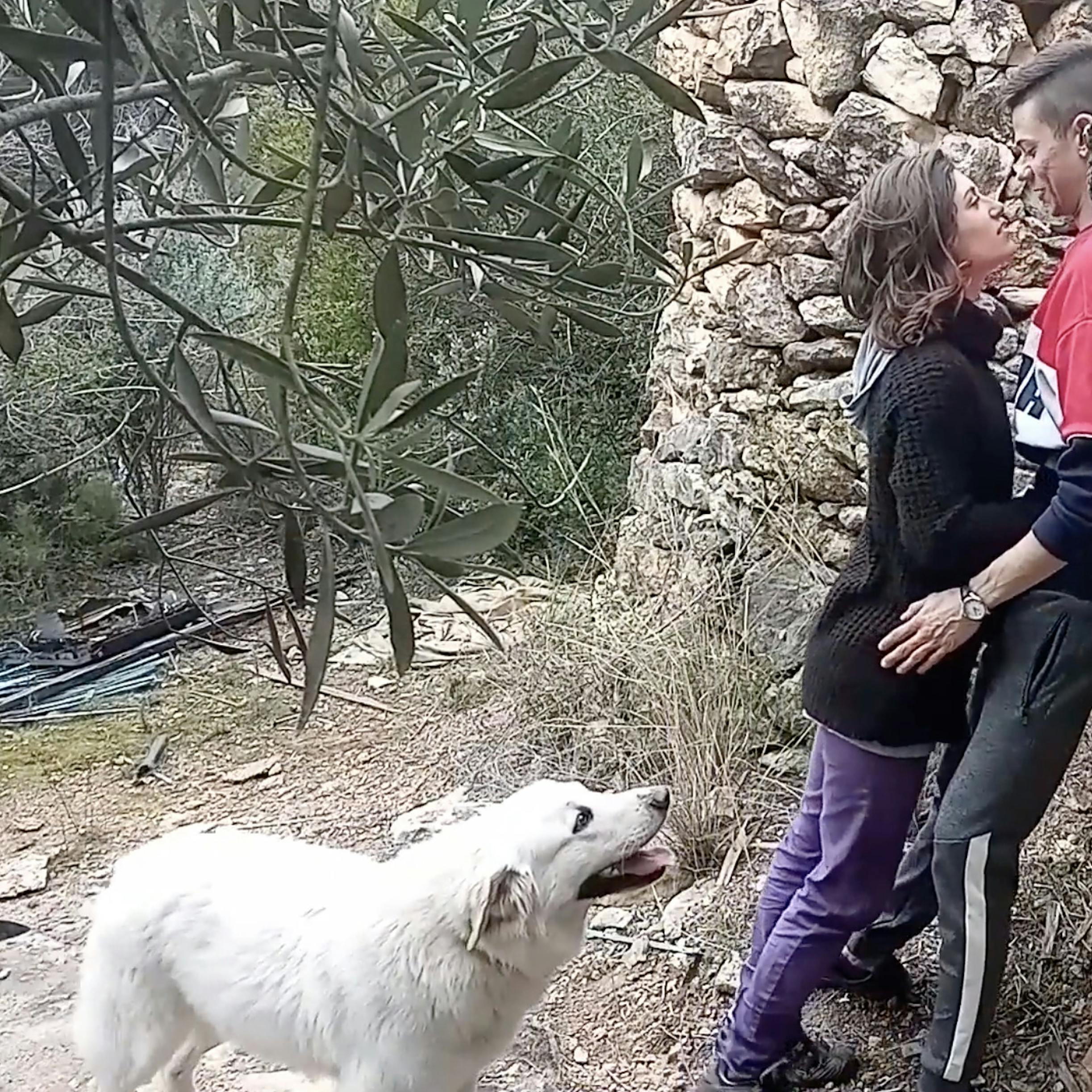 La Cabaña La Cabaña