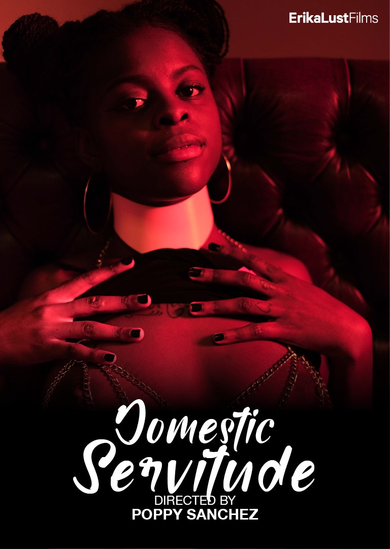 The BDSM Compilation Vol. 2