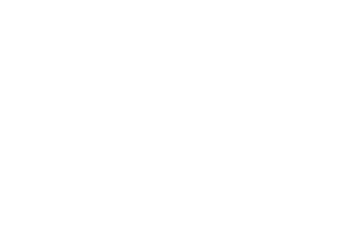 The Vintage Porn Collection