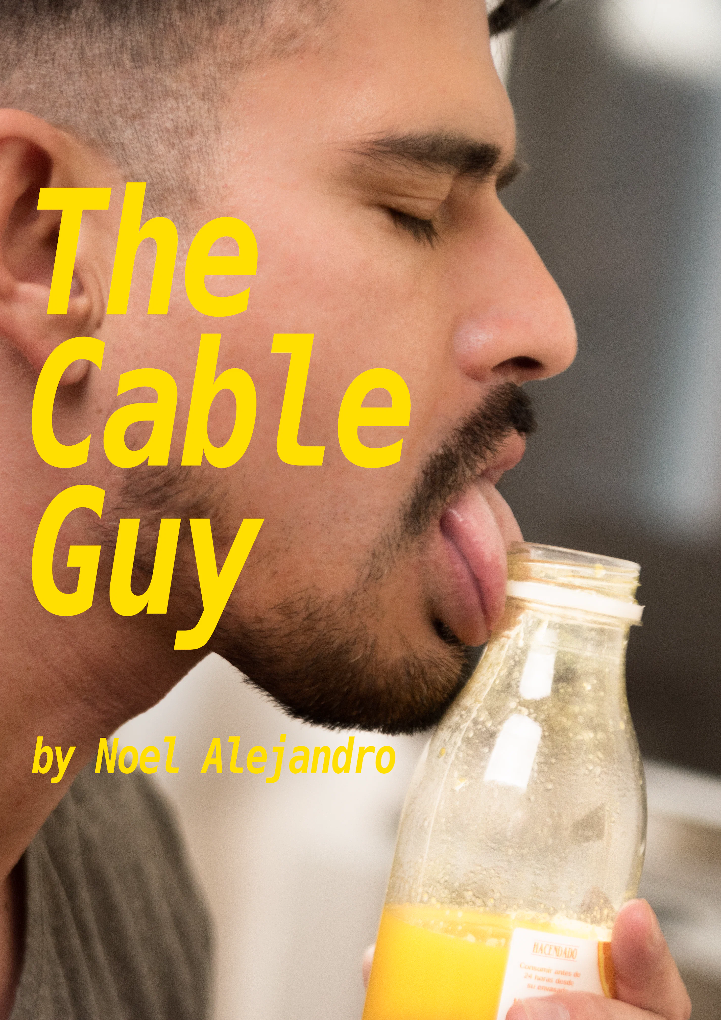 The Cable Guy The Cable Guy