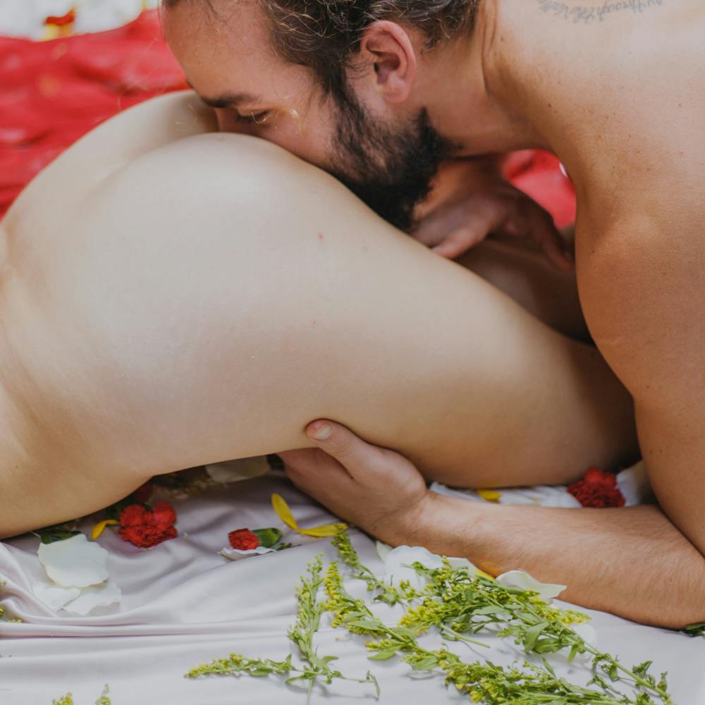 Impregnation Nation Impregnation Nation