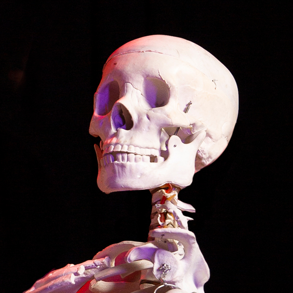 Jack Skeleton - Porn Films & XXX Movies