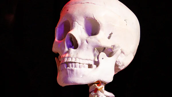Jack Skeleton Jack Skeleton