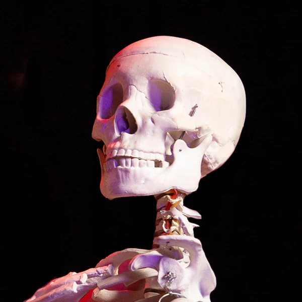 Jack Skeleton - Porn Actor and Performer | XConfessions Porn for Women Jack Skeleton - Porn Actor and Performer | XConfessions Porn for Women