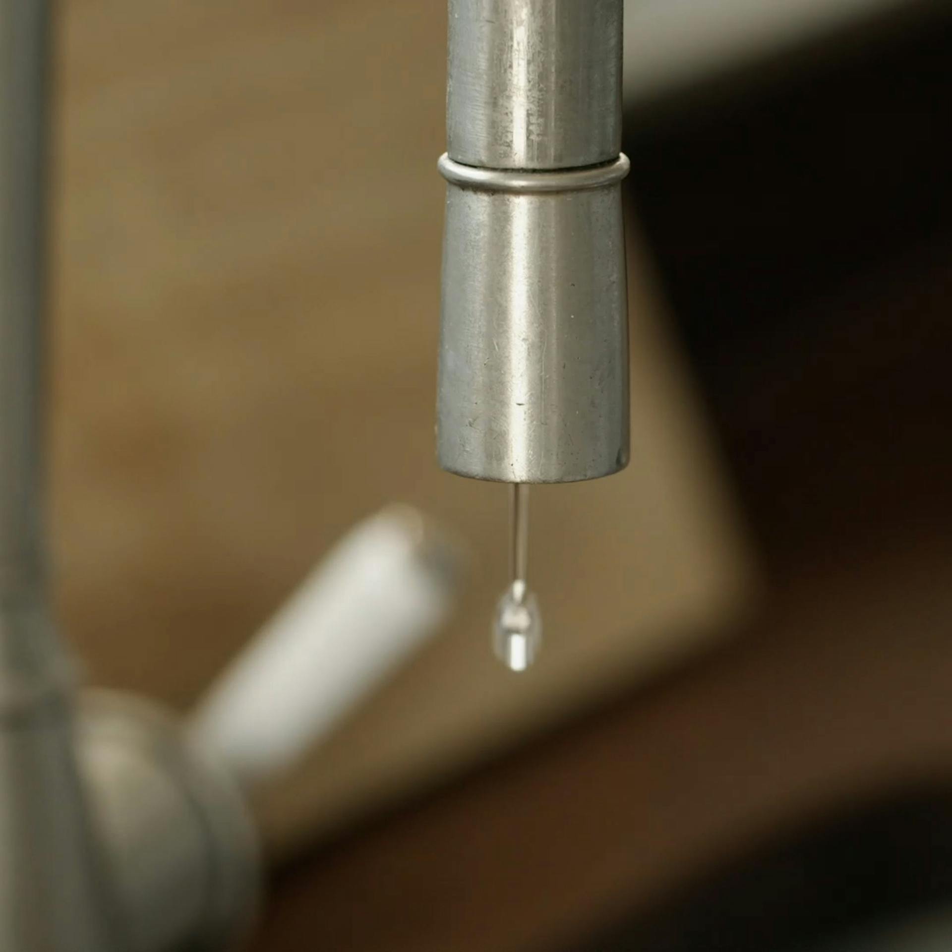 Aquaphilia Aquaphilia