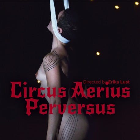 Sex Dox: The Documentary Compilation Sex Dox: The Documentary Compilation