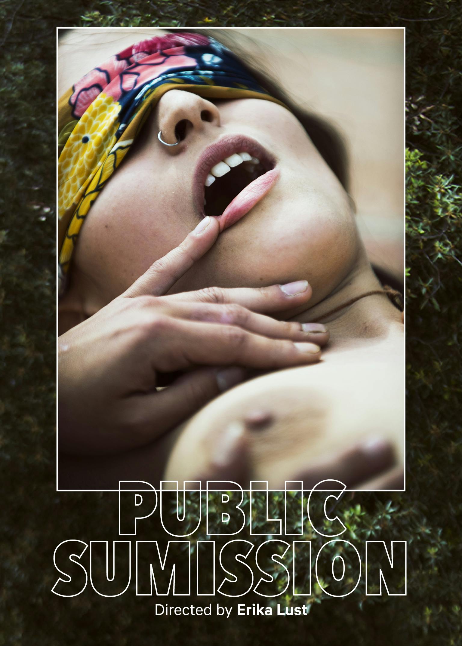 Public Submission soft