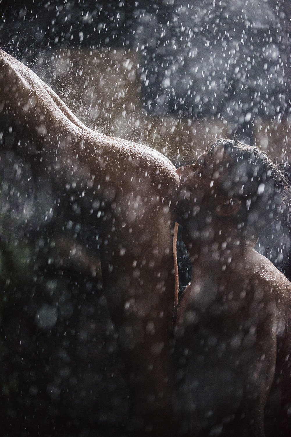 XConfessions Vol. 10